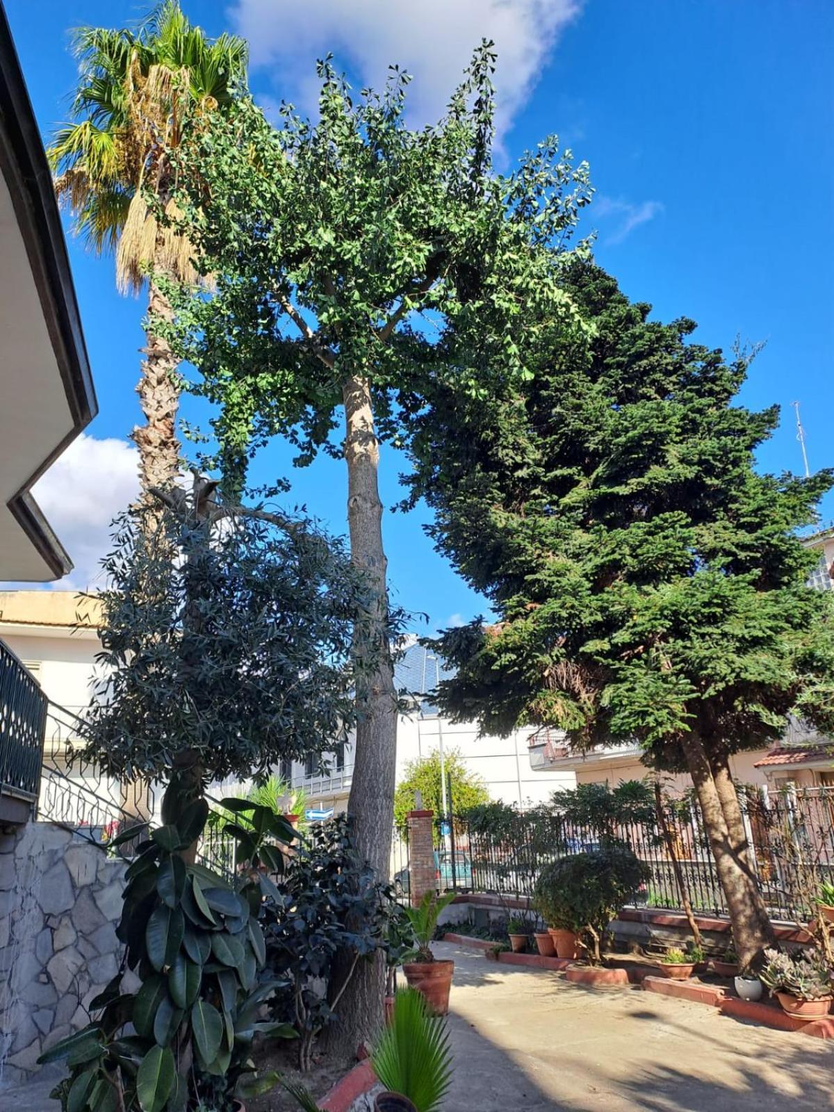A Casa Di Luigi 2 Διαμέρισμα Mugnano di Napoli Εξωτερικό φωτογραφία
